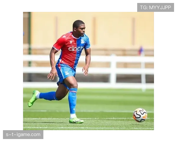 水晶宫新赛季整体实力引关注，期待再创辉煌