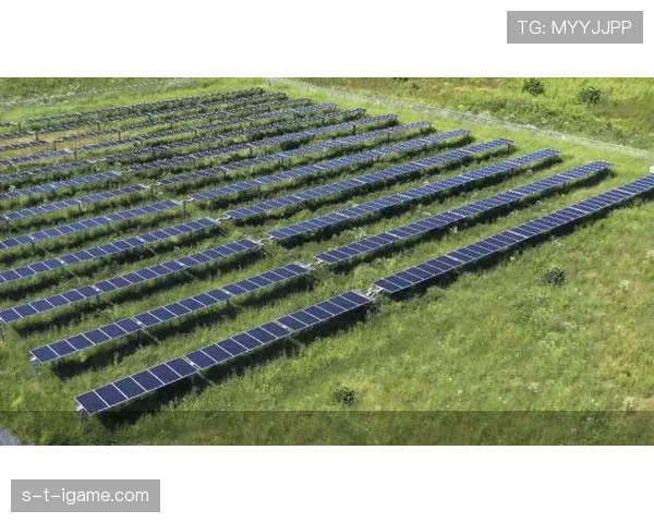 全球气候变化会议聚焦体育可持续发展，各国携手应对足球领域绿色转型挑战