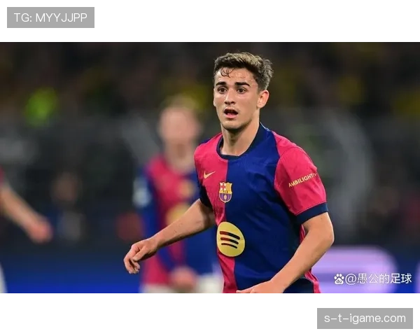 加维巴萨生涯展望 加维巴萨生涯展望